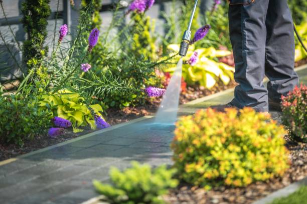 Best Post-Construction Pressure Washing  in Blawnox, PA
